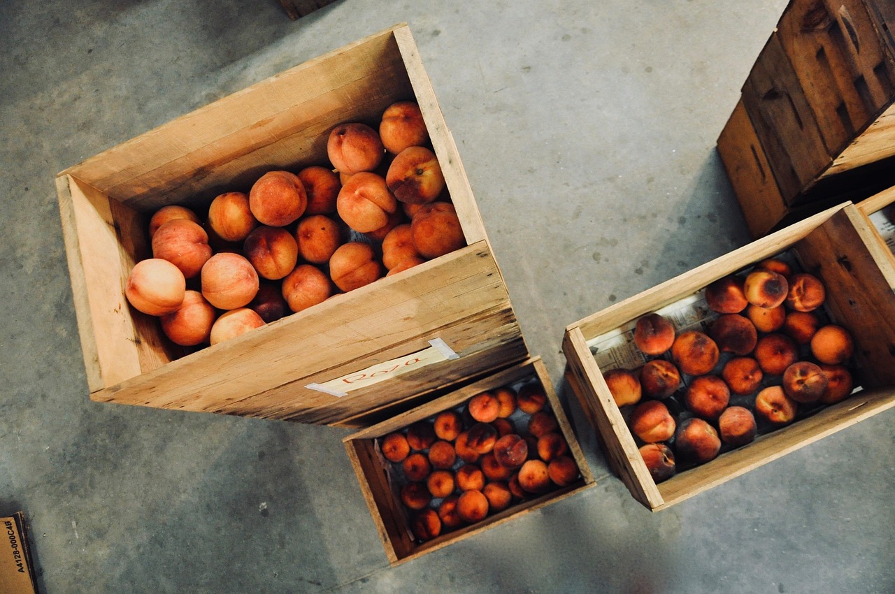 Cajas, sacos y palés del campo murciano: lo que cambia para tu empresa desde 2025